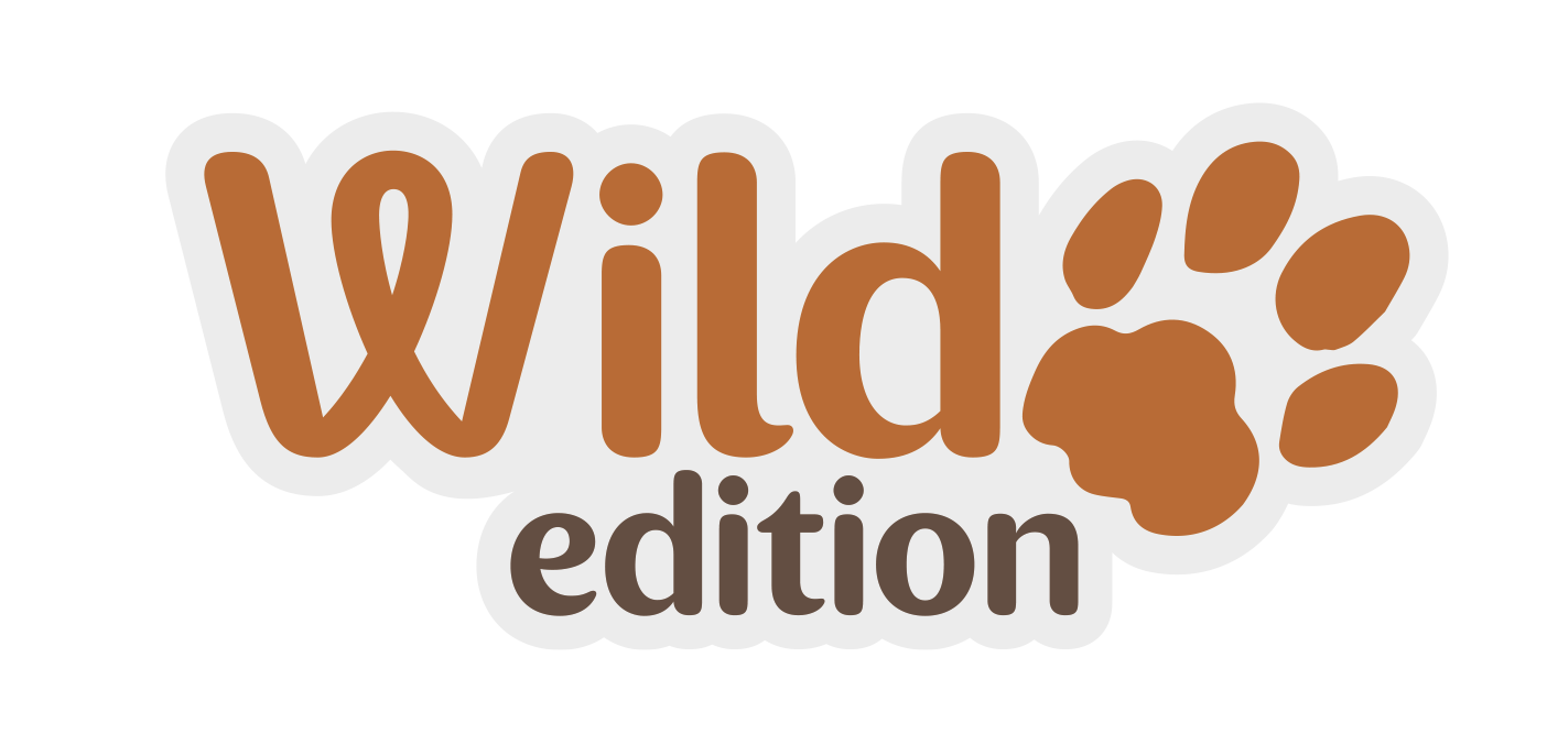 thumbnail_image001 (1).png